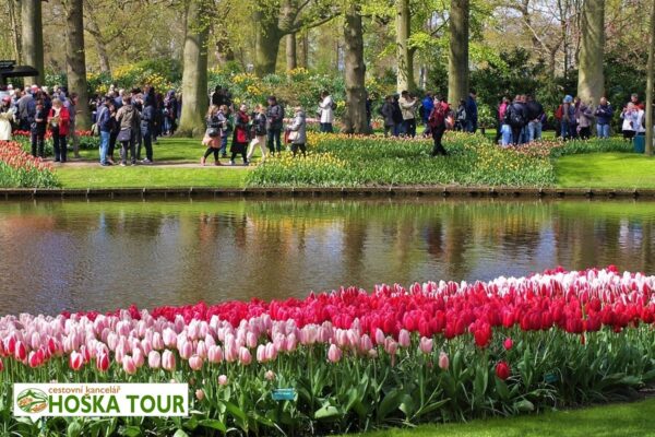 Holandsko – Květinové korzo pro školy